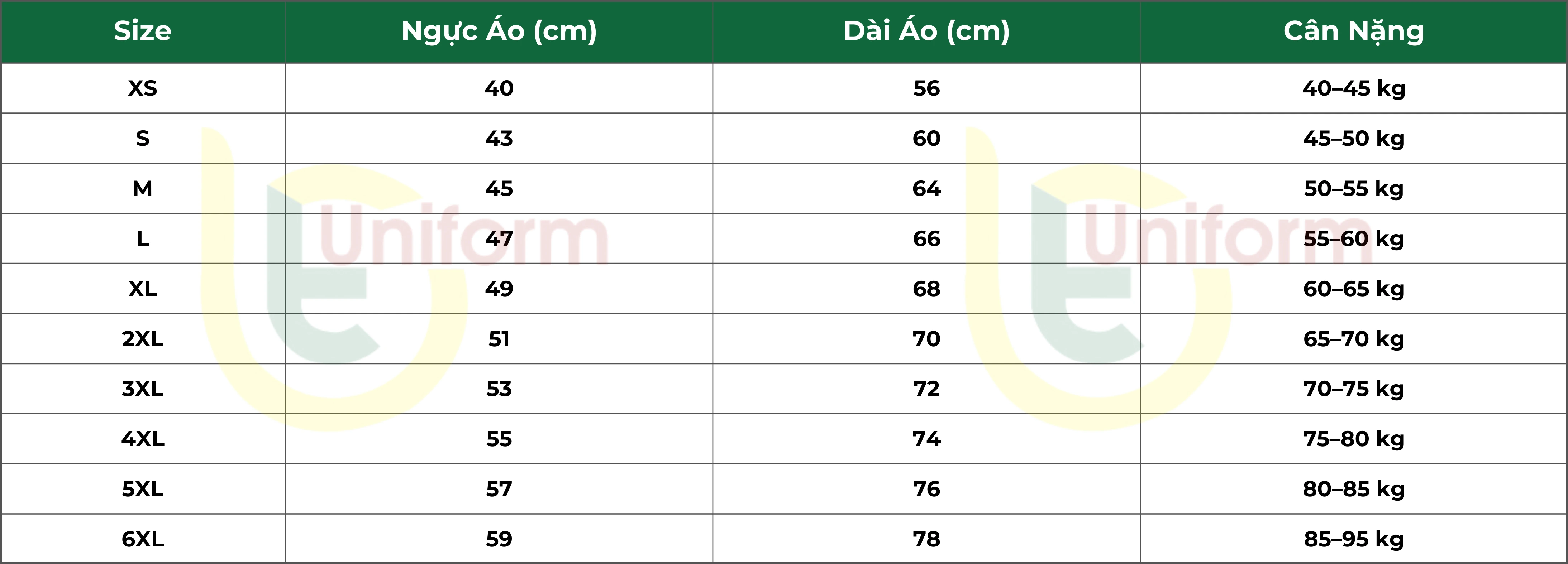 Bảng size áo thun lớp