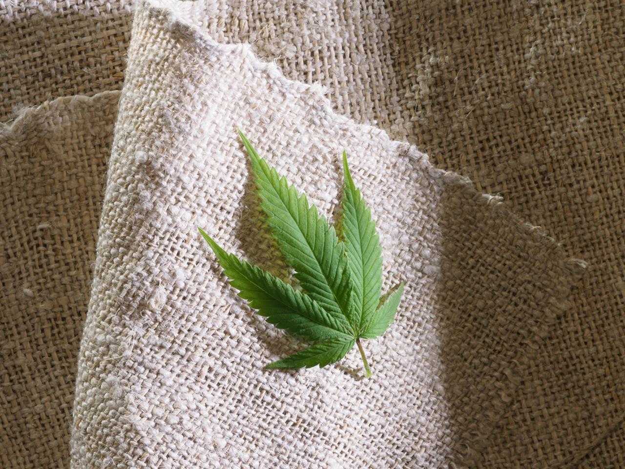 Vải từ cây gai dầu