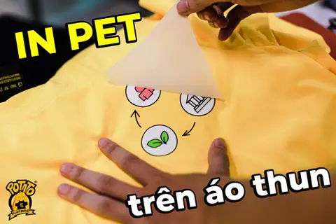 In pet DFT lên áo thun
